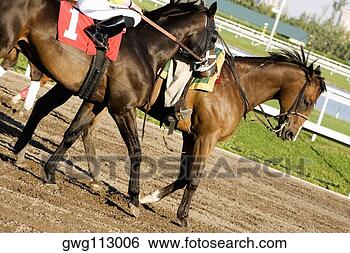 Banco de Imagem - baixo,   seção, 
  vista,   dois, 
  jóqueis,   montando, 
  cavalos. fotosearch 
- busca de fotos, 
imagens e clipart