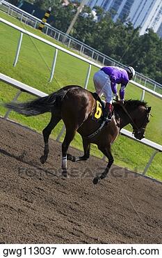 Picture - jockey riding 
a horse in a horse 
race. fotosearch 
- search stock 
photos, pictures, 
images, and photo 
clipart