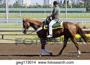Stock Photo - side profile of 
a jockey riding 
a horse on a horseracing 
track. fotosearch 
- search stock 
photos, pictures, 
images, and photo 
clipart