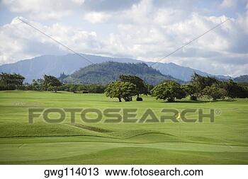 Banco de Imagem - árvores,   golfe, 
  curso,   montanha, 
  gama,   fundo, 
  kauai. fotosearch 
- busca de fotos, 
imagens e clipart