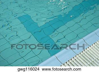 Banco de Imagem - alto,  ângulo, 
 vista,  natação. 
fotosearch - busca 
de fotos, imagens 
e clipart