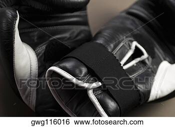 Banco de Imagem - close-up,  boxe, 
 luvas. fotosearch 
- busca de fotos, 
imagens e clipart