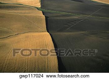Banco de Imagem - contorno,  arado, 
 campos,  dourado, 
 trigo,  washington, 
 estado. fotosearch 
- busca de fotos, 
imagens e clipart