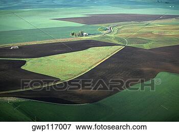Foto - contorno,  arar, 
 verde,  inverno, 
 trigo,  lentilha, 
 campos. fotosearch 
- busca de fotos, 
imagens e clipart