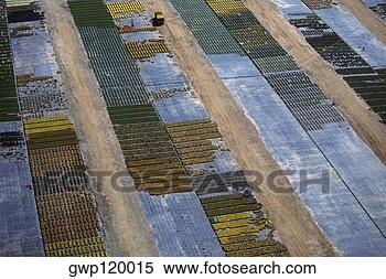 Banco de Imagem - colhido,  legumes, 
 caixas,  pronto, 
 navio. fotosearch 
- busca de fotos, 
imagens e clipart