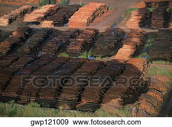 Arquivo Fotográficos - grande,  comercial, 
 sawmill,  idaho, 
 eua. fotosearch 
- busca de fotos, 
imagens e clipart