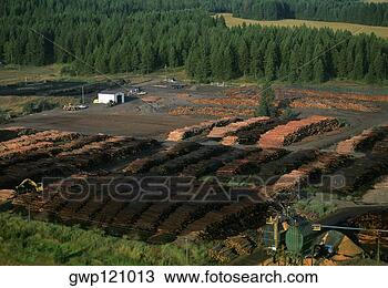 Banco de Imagem - grande,  comercial, 
 sawmill,  idaho, 
 eua. fotosearch 
- busca de fotos, 
imagens e clipart