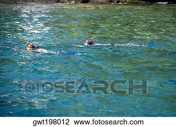 Banco de Imagem - dois,  pessoas, 
 snorkeling,  
mar,  capitão, 
 cook's,  monumento. 
fotosearch - busca 
de fotos, imagens 
e clipart