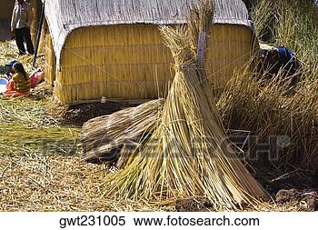 Banco de Imagem - cabana,  vila, 
 uros,  flutuante, 
 ilhas,  puno, 
 peru. fotosearch 
- busca de fotos, 
imagens e clipart