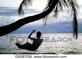 Banque d'Image - tropical,  relâcher, 
 nature,  silhouette, 
 seychelles,  
arbre. fotosearch 
- recherchez des 
photos, des images 
et des cliparts