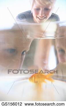 Stock Photo - contre-jour, animal, 
aquarium, observation, 
observer, prison. 
fotosearch - search 
stock photos, 
pictures, images, 
and photo clipart