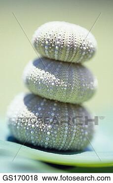 Stock Photo - nature, pile, 
diagonal, composition, 
green, three. 
fotosearch - search 
stock photos, 
pictures, images, 
and photo clipart