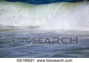 Stock Photography - nature, water, 
close up, close-up, 
cool. fotosearch 
- search stock 
photos, pictures, 
images, and photo 
clipart