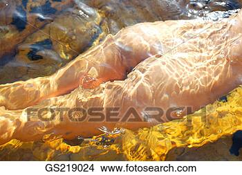 Stock Photo - close up of a 
woman's bottom 
and thighs submerged 
in water. fotosearch 
- search stock 
photos, pictures, 
images, and photo 
clipart