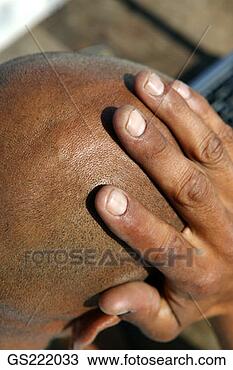 Stock Photo - dark-skinned bald 
head and hand. 
fotosearch - search 
stock photos, 
pictures, images, 
and photo clipart