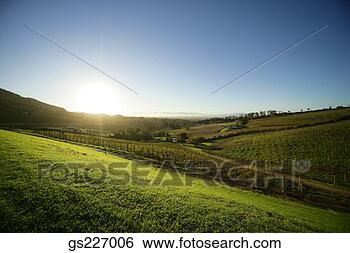 Stock Photo - tranquil countryside. 
fotosearch - search 
stock photos, 
pictures, images, 
and photo clipart
