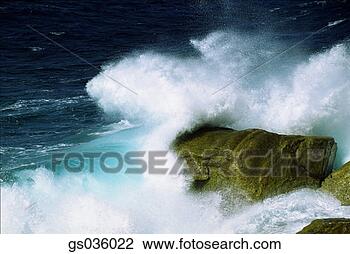 Stock Photo - goodshoot. fotosearch 
- search stock 
photos, pictures, 
images, and photo 
clipart