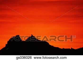 Stock Photo - goodshoot. fotosearch 
- search stock 
photos, pictures, 
images, and photo 
clipart