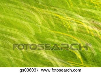 Picture - goodshoot. fotosearch 
- search stock 
photos, pictures, 
images, and photo 
clipart