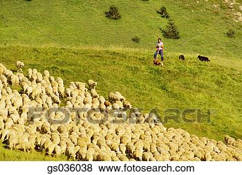 Stock Photo - goodshoot. fotosearch 
- search stock 
photos, pictures, 
images, and photo 
clipart