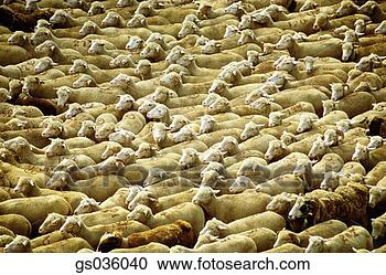 Stock Photography - goodshoot. fotosearch 
- search stock 
photos, pictures, 
images, and photo 
clipart