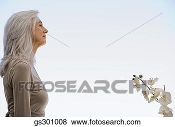 Banco de Imagem - conteúdo,  mulher. 
fotosearch - busca 
de fotos, imagens 
e clipart