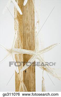 Stock Photo - starfish decorations. 
fotosearch - search 
stock photos, 
pictures, images, 
and photo clipart