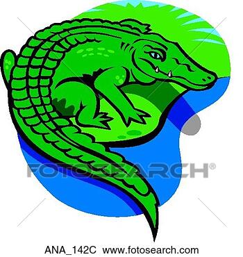 Clip Art - alligator color. 
fotosearch - search 
clipart, illustration, 
drawings and vector 
eps graphics images