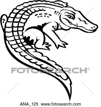 Clipart - alligator. fotosearch 
- search clipart, 
illustration, 
drawings and vector 
eps graphics images