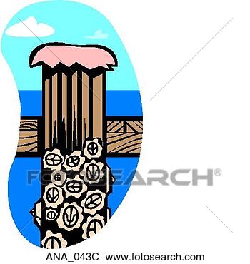 Clip Art - barnacles color. 
fotosearch - search 
clipart, illustration, 
drawings and vector 
eps graphics images
