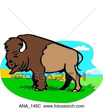 Clip Art - buffalo color. 
fotosearch - search 
clipart, illustration, 
drawings and vector 
eps graphics images