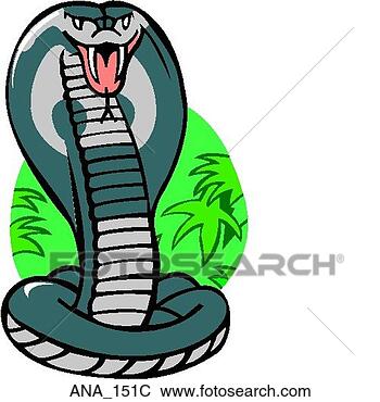 Clip Art - cobra color. fotosearch 
- search clipart, 
illustration, 
drawings and vector 
eps graphics images