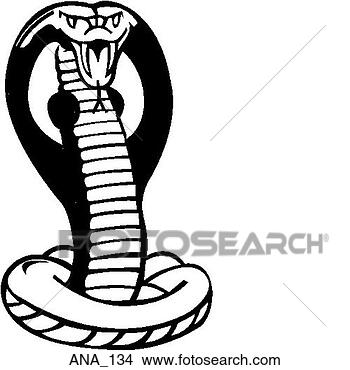 Clipart - cobra. fotosearch 
- search clipart, 
illustration, 
drawings and vector 
eps graphics images