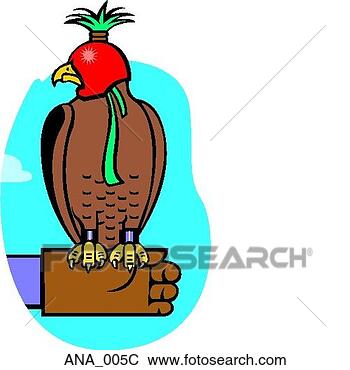 Clip Art - falcon color. 
fotosearch - search 
clipart, illustration, 
drawings and vector 
eps graphics images