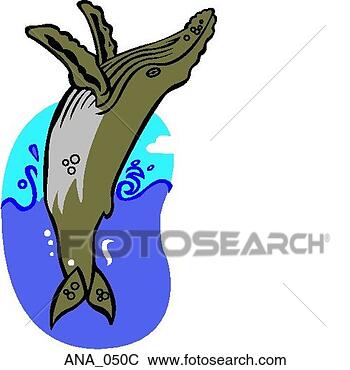 Clip Art - humpback whale 
color. fotosearch 
- search clipart, 
illustration, 
drawings and vector 
eps graphics images