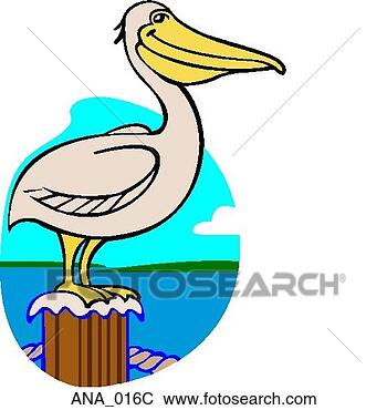 Clip Art - pelican color. 
fotosearch - search 
clipart, illustration, 
drawings and vector 
eps graphics images