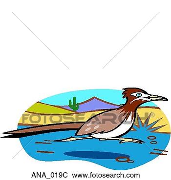 Clip Art - roadrunner color. 
fotosearch - search 
clipart, illustration, 
drawings and vector 
eps graphics images