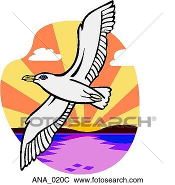 Clip Art - seagull color. 
fotosearch - search 
clipart, illustration, 
drawings and vector 
eps graphics images