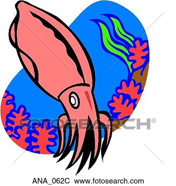 Clip Art - squid color. fotosearch 
- search clipart, 
illustration, 
drawings and vector 
eps graphics images