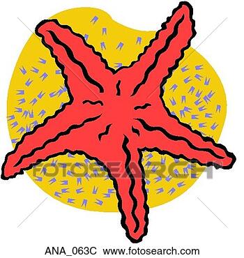Clip Art - starfish color. 
fotosearch - search 
clipart, illustration, 
drawings and vector 
eps graphics images