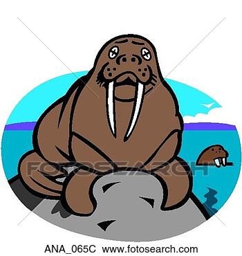 Clip Art - walrus color. 
fotosearch - search 
clipart, illustration, 
drawings and vector 
eps graphics images
