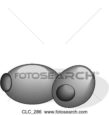 Clip Art - olive. fotosearch 
- search clipart, 
illustration, 
drawings and vector 
eps graphics images