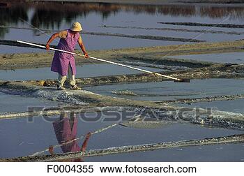 Stock Image - salt, sea, harvest, 
harvesting, salt 
beds, people, 
charente maritime. 
fotosearch - search 
stock photos, 
pictures, images, 
and photo clipart