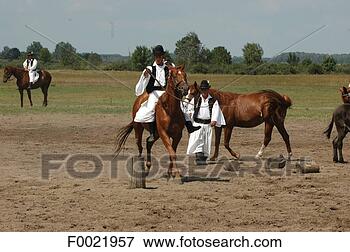 Picture - hungary, bugac, 
the puzsta, csikos 
rider. fotosearch 
- search stock 
photos, pictures, 
images, and photo 
clipart