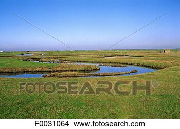 Stock Photo - france, poitou 
charentes, near 
nieule-sur-seudre, 
marshland. fotosearch 
- search stock 
photos, pictures, 
images, and photo 
clipart