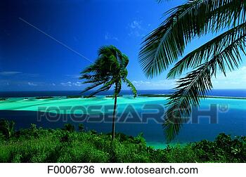 Stock Photo - french polynesia, 
bora bora, view 
on the sea. fotosearch 
- search stock 
photos, pictures, 
images, and photo 
clipart
