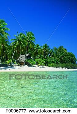 Picture - french polynesia, 
rangiroa atoll, 
cabin on beach. 
fotosearch - search 
stock photos, 
pictures, images, 
and photo clipart