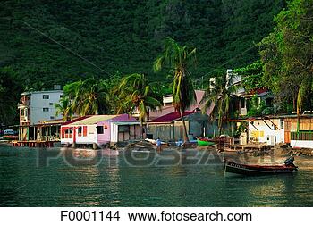Stock Photo - french west indies, 
martinique, grand-riviere. 
fotosearch - search 
stock photos, 
pictures, images, 
and photo clipart