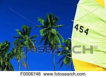 Stock Photo - french west indies, 
martinique, sail 
at grande anse. 
fotosearch - search 
stock photos, 
pictures, images, 
and photo clipart