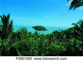 Stock Photo - dream beach and 
palms, landscape, 
forest, sea, guyana, 
south america. 
fotosearch - search 
stock photos, 
pictures, images, 
and photo clipart